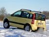 ����-����� Fiat: ������� ����